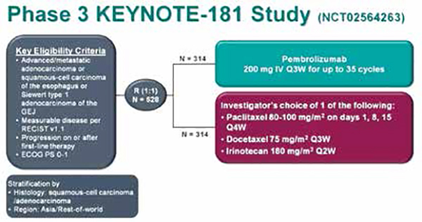 KEYNOTE-181研究帕博利珠單抗食管癌研究引關(guān)注