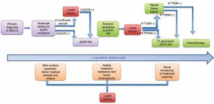 EGFR-TKI輔助治療生存分析