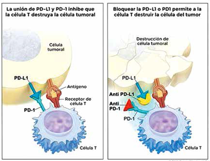 抗PD-1/PD-L1治療在真實世界中的實況