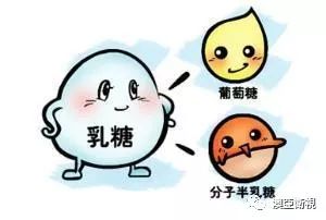 微信圖片_20191218160526.jpg