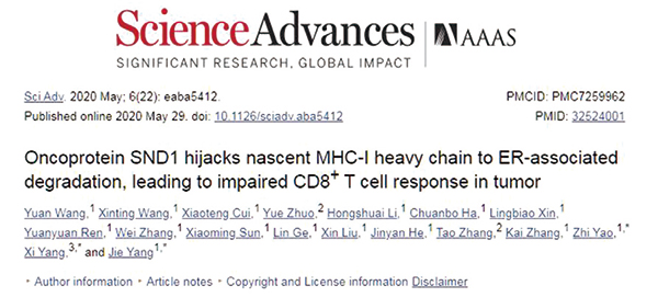 國人研究發(fā)現(xiàn)癌細胞可主動降解MHC-Ⅰ類分子