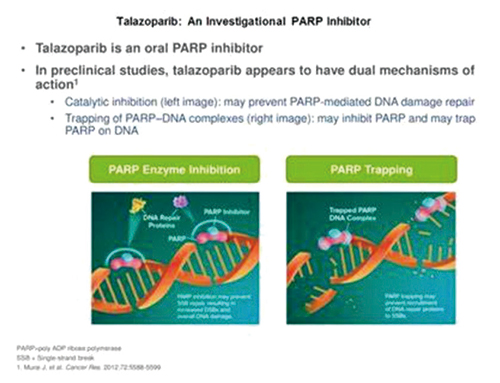 種系BRCA1/2突變的HER2陰性晚期乳腺癌 Talazoparib不優(yōu)于化療的生存改善