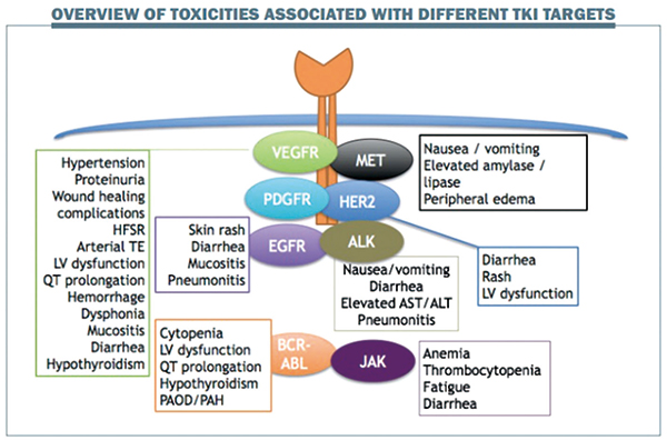EGFR/ALK TKI治療NSCLC 應(yīng)監(jiān)測(cè)甲狀腺功能障礙