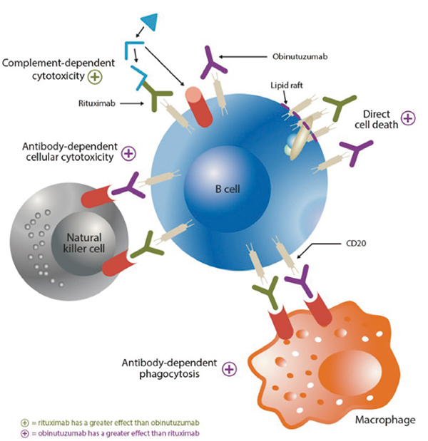 aaIPI ≥ 1 分宜移植的 DLBCL Obinutuzumab 初治不優(yōu)于利妥昔單抗