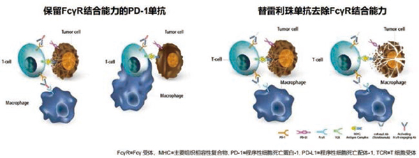 270-271期《全球腫瘤快訊》-57.jpg