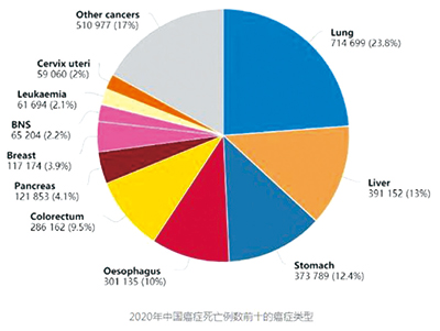 272-273期(完成版)-15.jpg