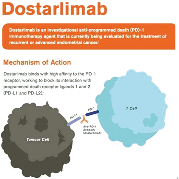 Dostarlimab治療dMMR實(shí)體瘤患者ORR達(dá)38.7%