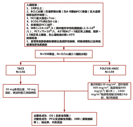 291-292期《全球腫瘤快訊》-37.jpg