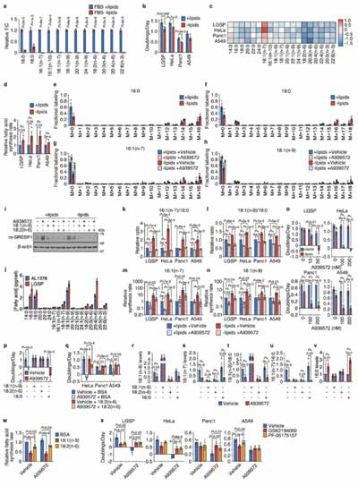 291-292期《全球腫瘤快訊》-110.jpg