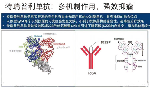 293-294期《全球腫瘤快訊》-112.jpg