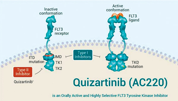 新發(fā)的FLT3-ITD陽性的AML 聯(lián)用Quizartinib對比單用化療有OS優(yōu)勢