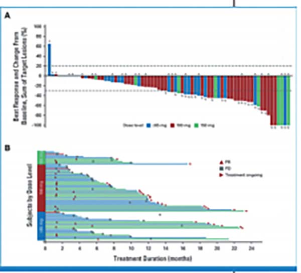  EGFR ex20ins突變的難治性NSCLC 后線應(yīng)用Zipalertinib有初步的抗瘤活性