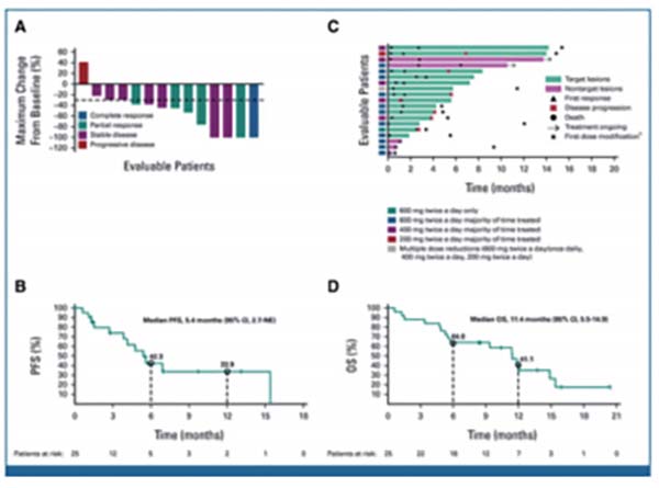 攜帶KRAS G12C突變的NSCLC Adagrasib對(duì)顱內(nèi)轉(zhuǎn)移有抗瘤活性