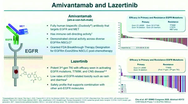 EGFR突變的晚期NSCLC 一線應用Lazertinib相對吉非替尼顯著改善顱內(nèi)結局