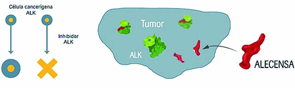 ALK陽性ⅠB~ⅢA期NSCLC 術(shù)后阿來替尼對比化療顯著改善DFS 