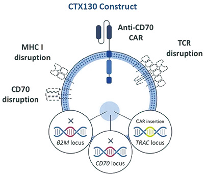 多線治療失敗的T細(xì)胞淋巴瘤 CTX130可帶來(lái)較高的緩解率且安全性可控