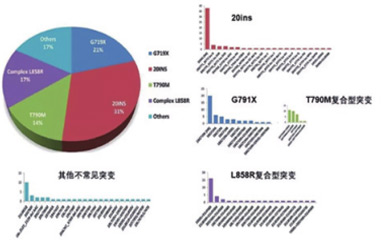 中國最大樣本肺癌EGFR非常見突變的預(yù)后和治療 