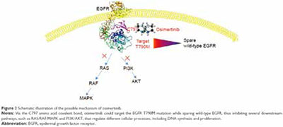 三線治療EGFR T790M突變的NSCLC Osimertinib或優(yōu)于多西他賽-貝伐珠單抗