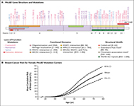 非CDH1突變遺傳性彌漫型胃癌家族 PALB2和其他腫瘤易感性基因的種系致病變異