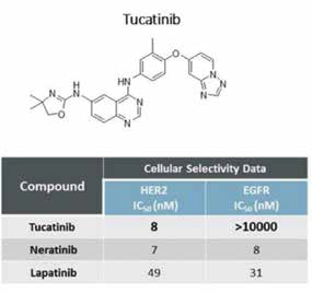 晚期HER2陽性轉(zhuǎn)移性乳腺癌 Tucatinib聯(lián)合T-DM1治療Ⅰ期研究