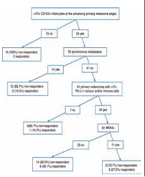 轉(zhuǎn)移性黑色素瘤PD-1免疫療法療效預(yù)測因素
