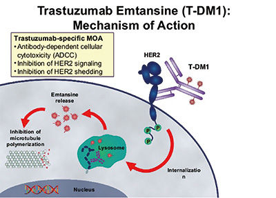 T-DM1復治HER2過表達晚期NSCLC有效