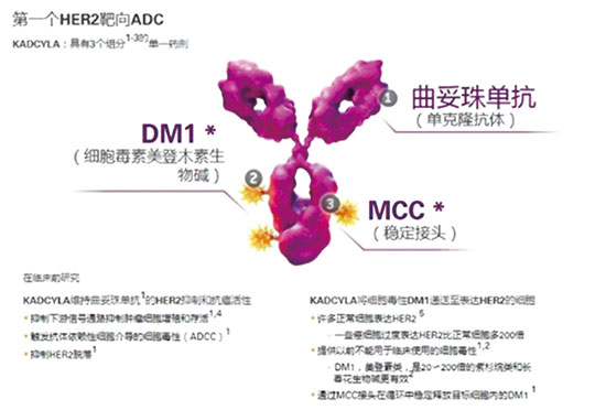 T-DM1單藥術(shù)后輔助治療研究達(dá)終點(diǎn)