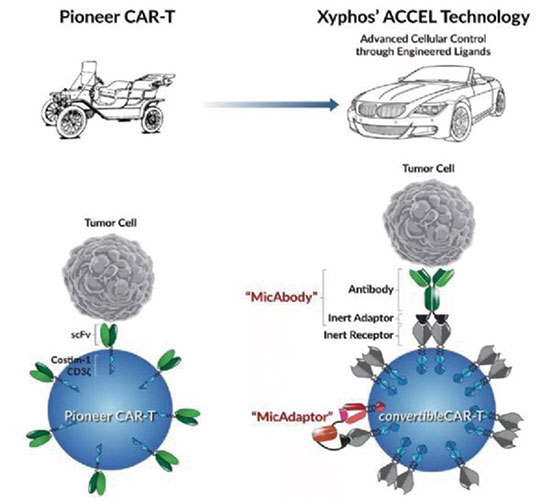 研究開發(fā)可編程CAR-T療法