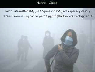 PM2.5影響肺腺癌發(fā)病率和死亡率