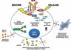 復(fù)發(fā)性CLL Idelalisib對(duì)比單用利妥昔單抗更佳