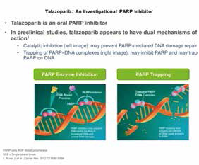 攜帶生殖系遺傳變異的可手術(shù)乳腺癌 Talazoparib新輔助療法有效