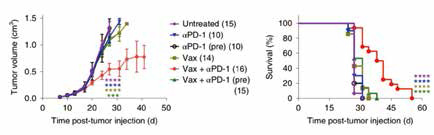 研究發(fā)現(xiàn)PD-1抗體殺死T細(xì)胞