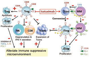 復發(fā)/難治性MM Isatuximab-泊馬度胺-地塞米松三聯(lián)療法改善PFS