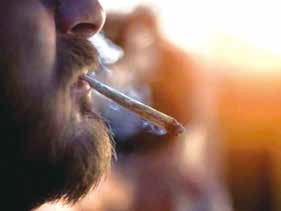大麻使用與罹患腫瘤風(fēng)險(xiǎn)研究薈萃分析