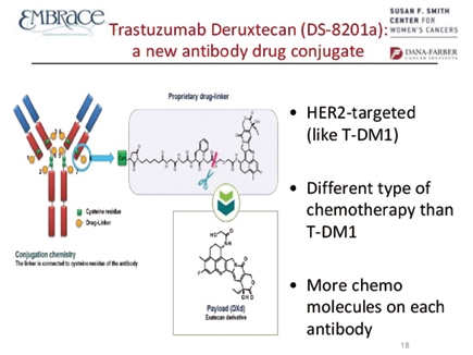 DESTINY-Breast01研究 經(jīng)治HER2陽(yáng)性晚期乳腺癌 Trastuzumab deruxtecan單藥ORR達(dá)60.9%