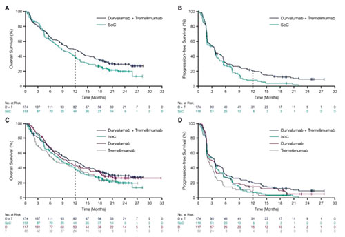 PD-L1 TC≥25%經治晚期NSCLC患者 Durvalumab三線以上治療有生存獲益
