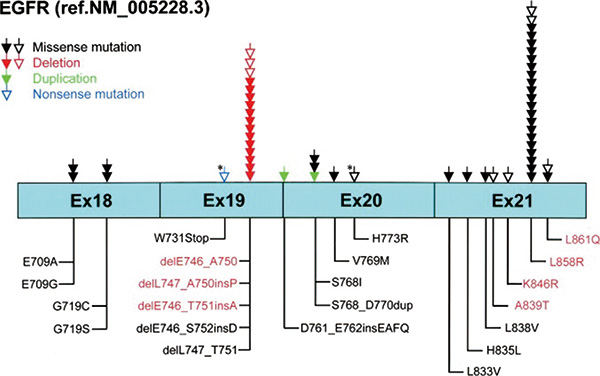 中國EGFR 20號(hào)外顯子插入突變情況及方案分析