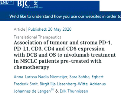 NSCLC 免疫細胞間質(zhì)浸潤可預(yù)測PD-1抑制劑療效