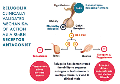 晚期前列腺癌 Relugolix睪酮去勢(shì)優(yōu)于亮丙瑞林