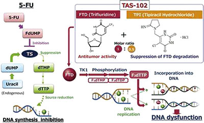 不宜強化治療的初治mCRC Trifluridine/Tipiracil聯(lián)合貝伐珠單抗安全有效