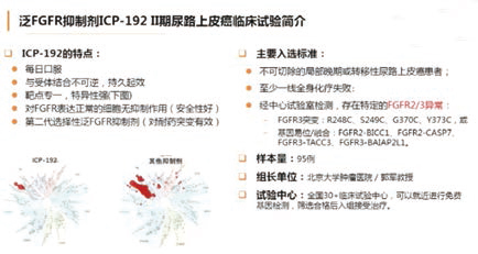 CSCO首個尿路上皮癌指南發(fā)布