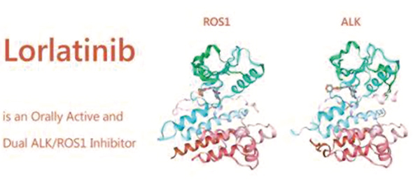 一線治療ALK陽性晚期NSCLC Lorlatinib或優(yōu)于克唑替尼
