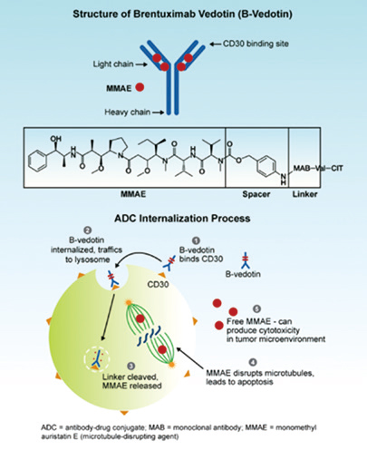 兒童期高?；羝娼鹆馨土?一線聯(lián)用Brentuximab vedotin可減少放療的應(yīng)用
