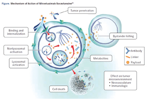 鉑類耐藥卵巢癌 Mirvetuximab soravtansine療效值得期待