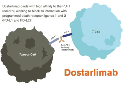 FDA加速批準(zhǔn)Dostarlimab-gxly用于dMMR的子宮內(nèi)膜癌