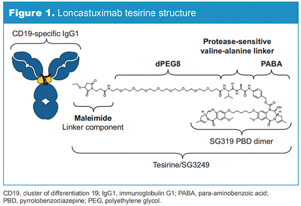 復(fù)發(fā)或難治性DLBCL Loncastuximab tesirine治療有持久緩解