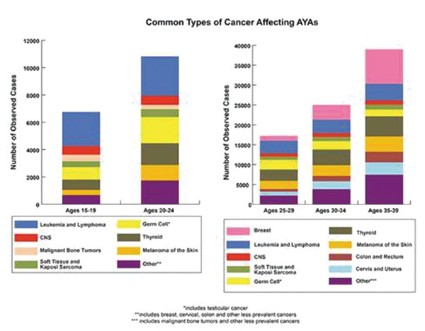 美國青少年和青年癌癥生存率分析研究