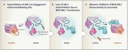 ≥2種TKI耐藥或不耐受的CML-CP Asciminib優(yōu)于Bosutinib