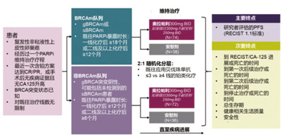 OReO/ENGOT Ov-38研究 PARP抑制劑再次應(yīng)用于卵巢癌維持治療
