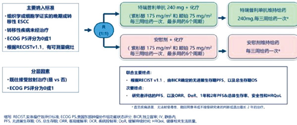 特瑞普利單抗JUPITER-06研究公布